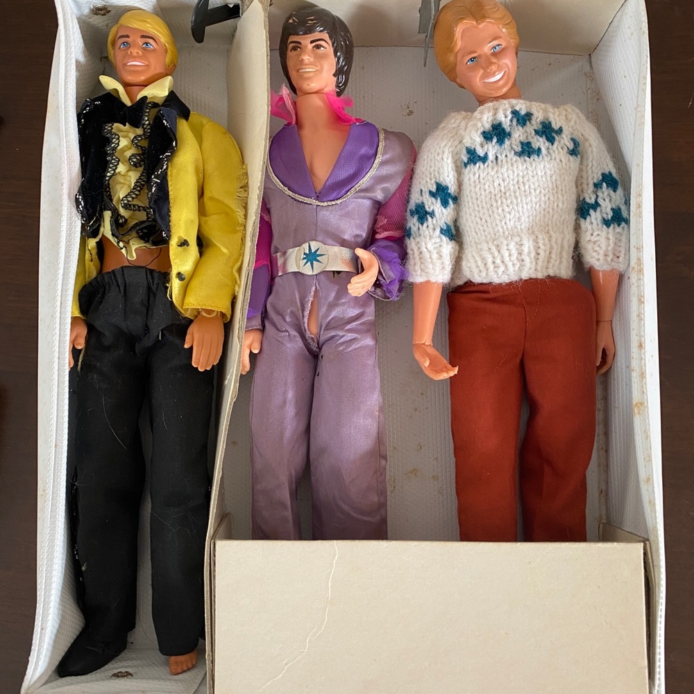 A collection of vintage “weird Ken’s” that have appropriated Barbies Doll Case